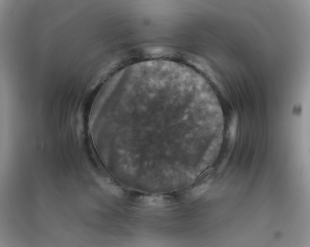 X0000090700524200708171849