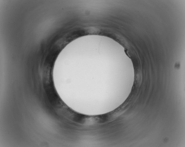 X0000090700525200708171849