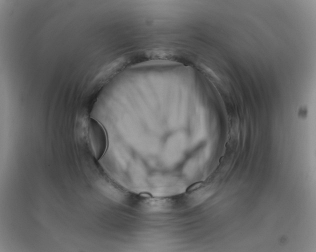 X0000090700526200708171849