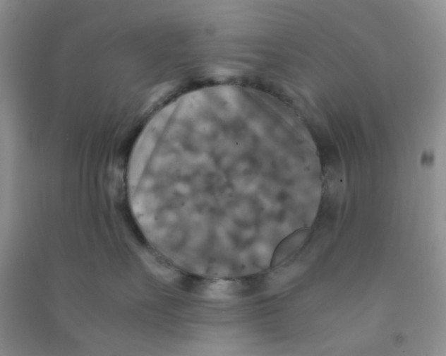 X0000090700527200708171849