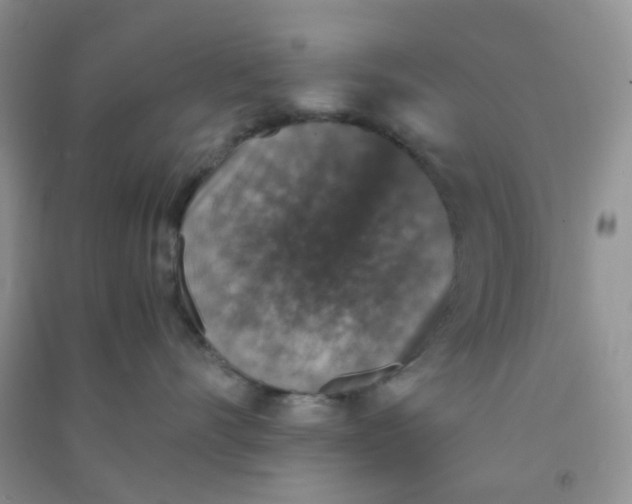 X0000090700528200708171849