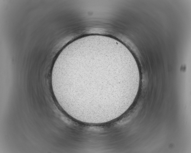 X0000090700529200708171848