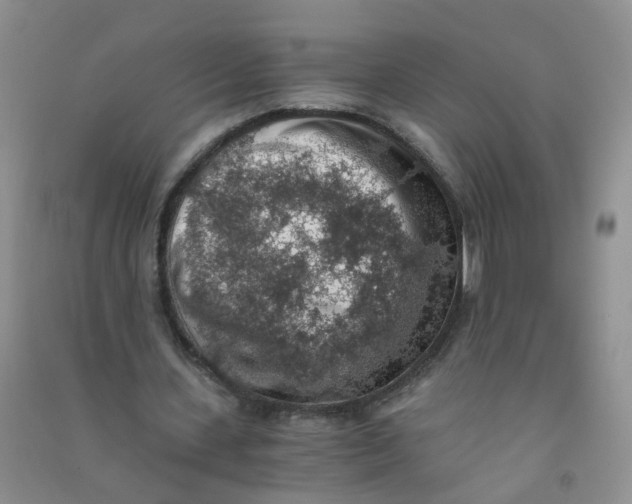 X0000090700531200708171848