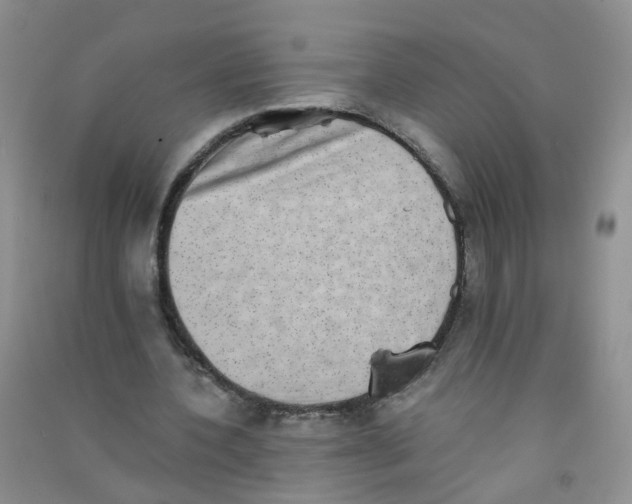 X0000090700532200708171848