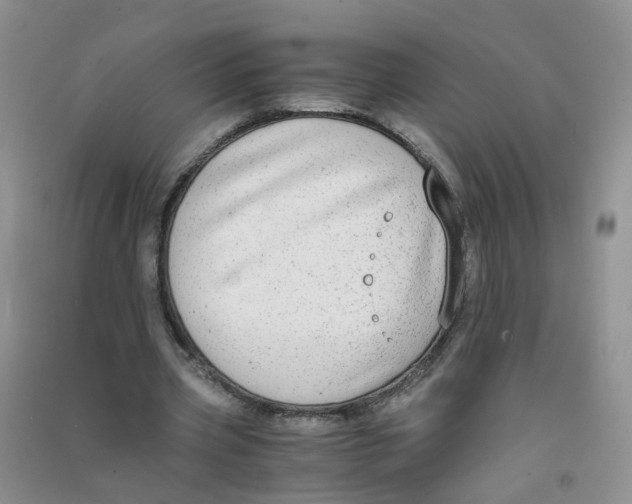 X0000090700533200708171848