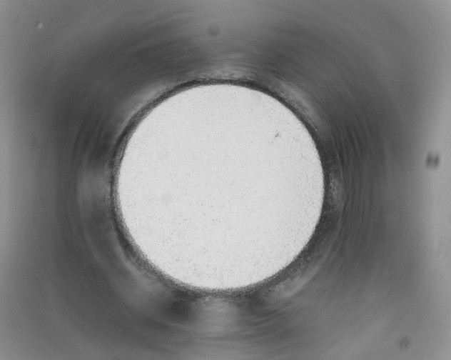 X0000090700534200708171848