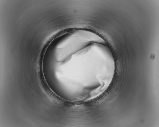 X0000090700536200708171848