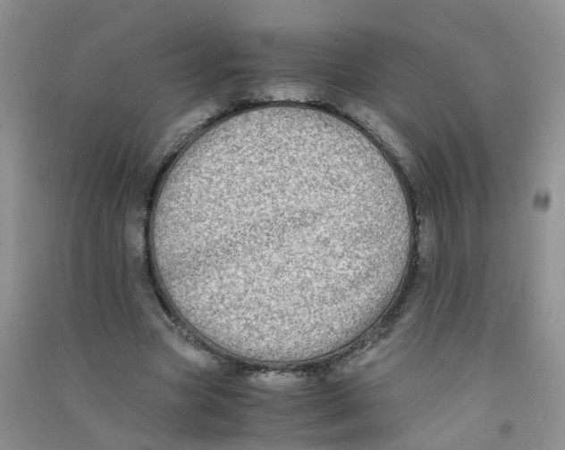 X0000090700537200708171848