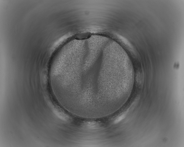 X0000090700540200708171848