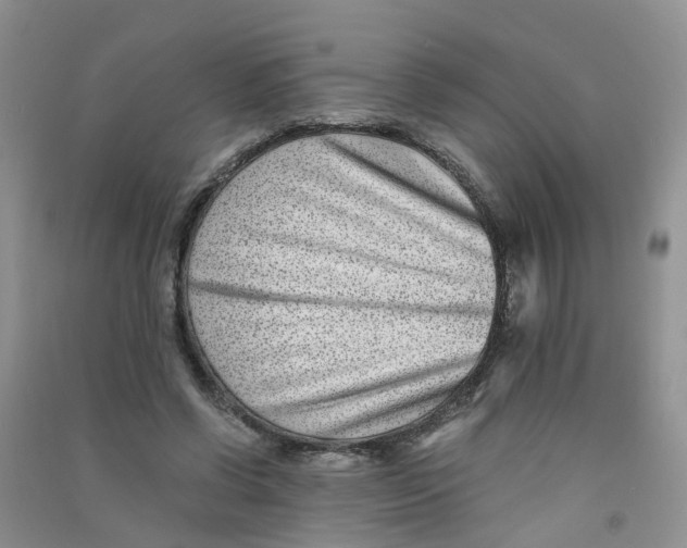 X0000090700542200708171848