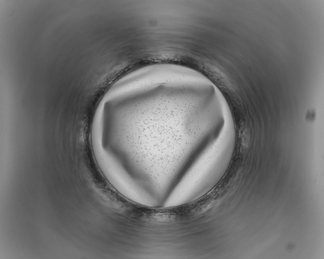 X0000090700546200708171848