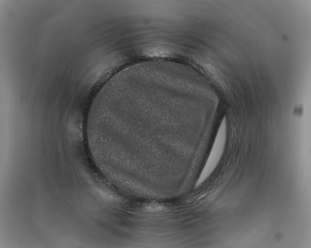 X0000090700547200708171848