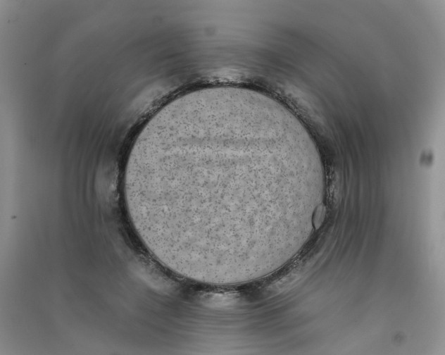 X0000090700548200708171848