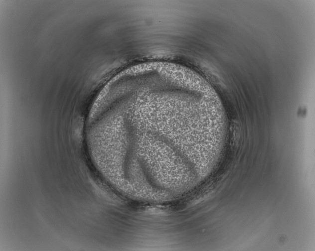 X0000090700550200708171848