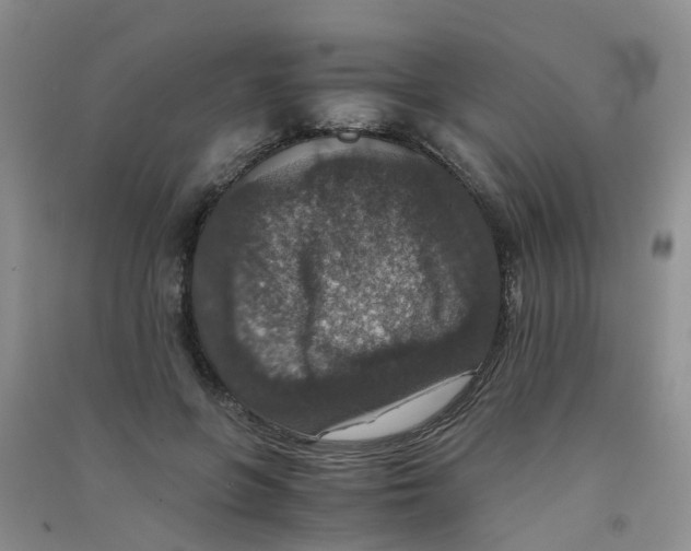 X0000090700551200708171848