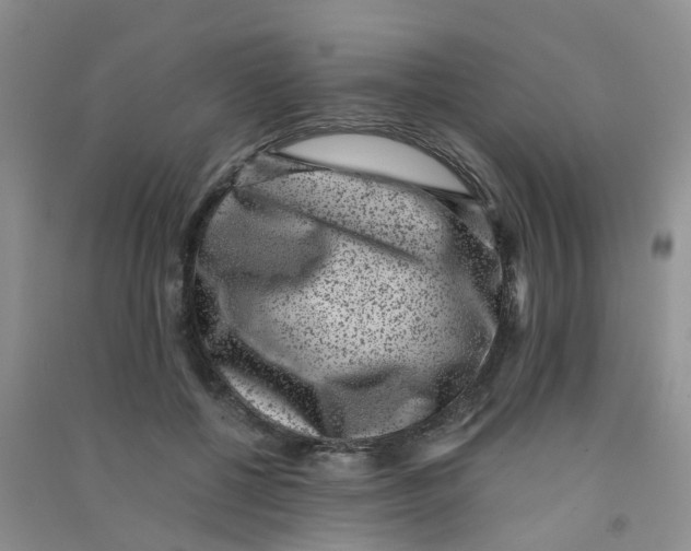 X0000090700552200708171848