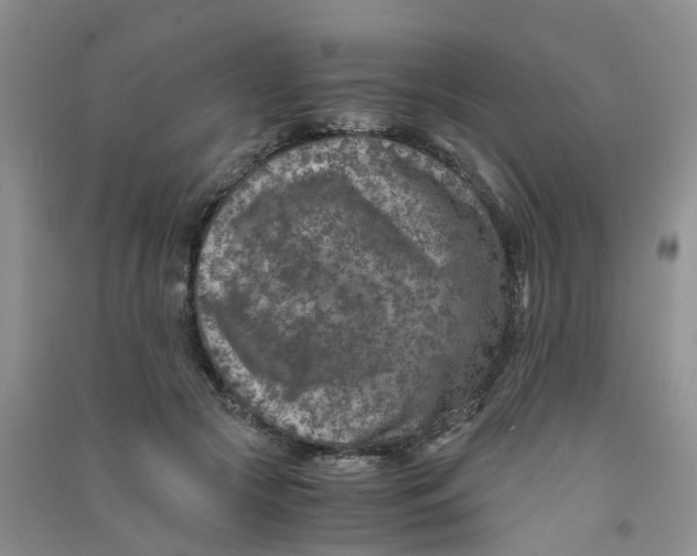 X0000090700553200708171848