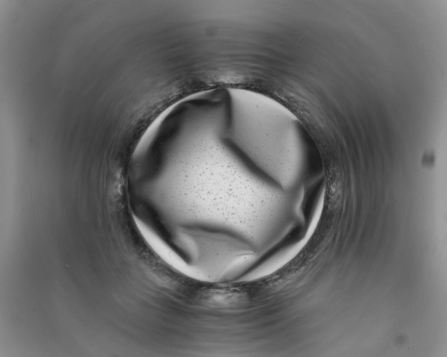 X0000090700555200708171848