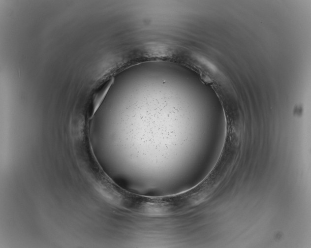 X0000090700556200708171848