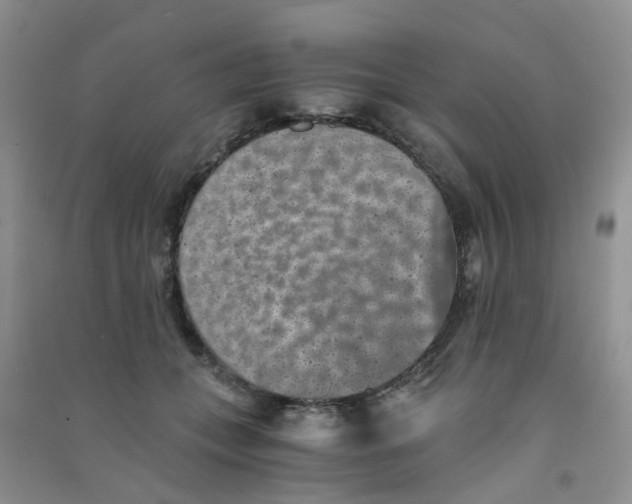 X0000090700559200708171848