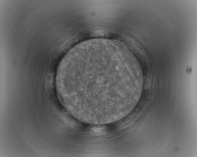 X0000090700560200708171848