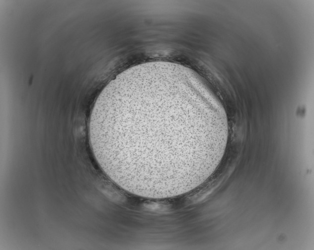 X0000090700561200708171848