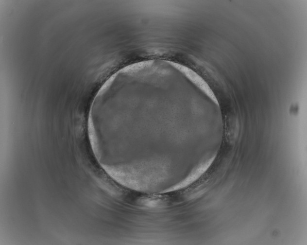 X0000090700563200708171848