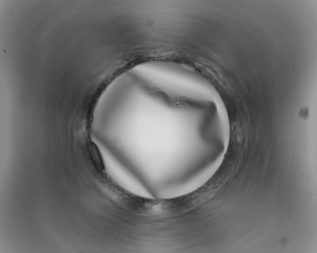 X0000090700564200708171848