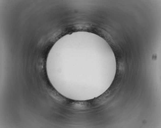 X0000090700567200708171848