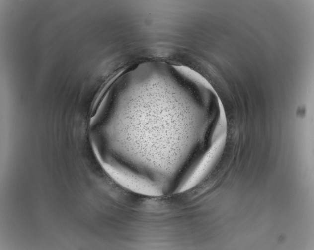 X0000090700568200708171848