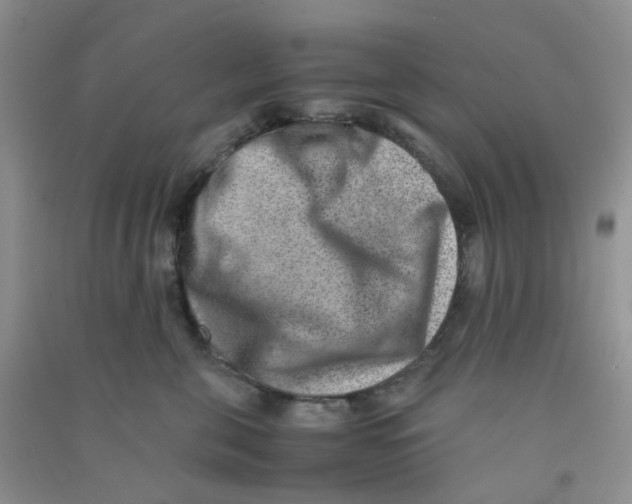 X0000090700571200708171849