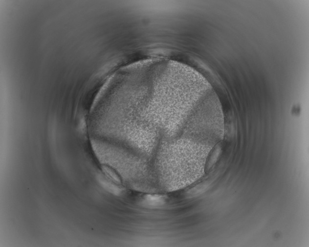 X0000090700573200708171849