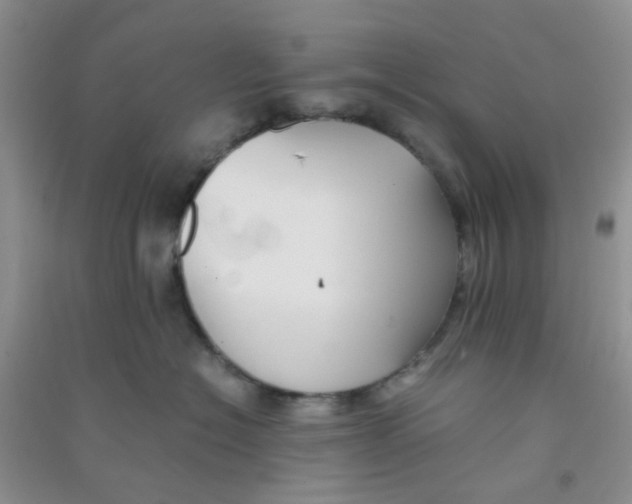 X0000090700574200708171849