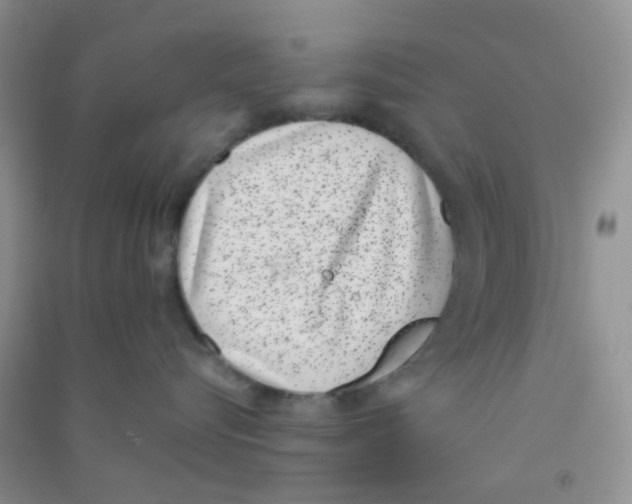 X0000090700576200708171849