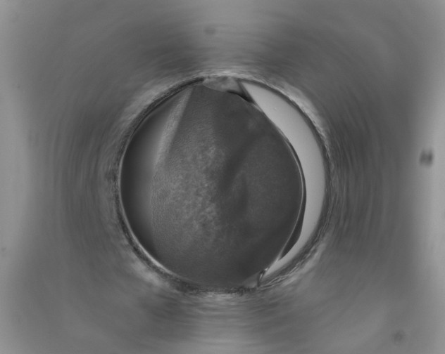 X0000090700577200708171848