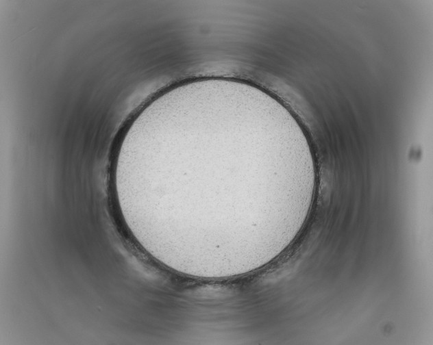 X0000090700578200708171848