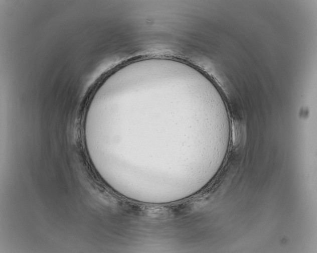 X0000090700579200708171848