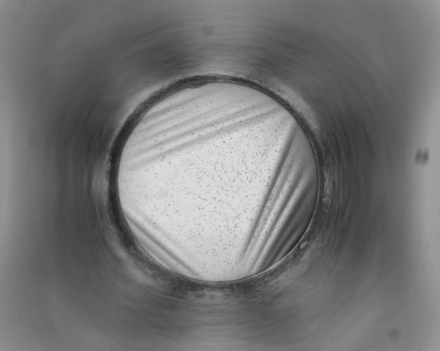 X0000090700580200708171848