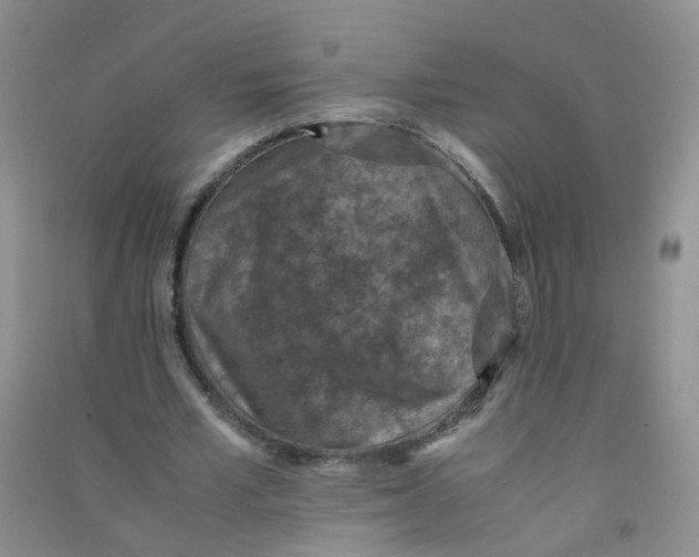 X0000090700581200708171848