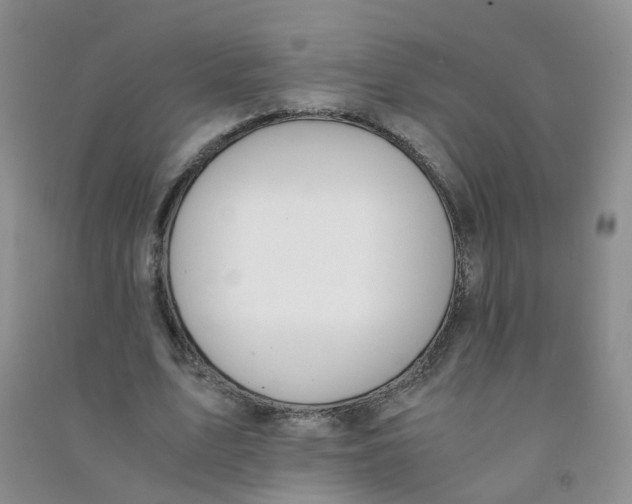 X0000090700583200708171848