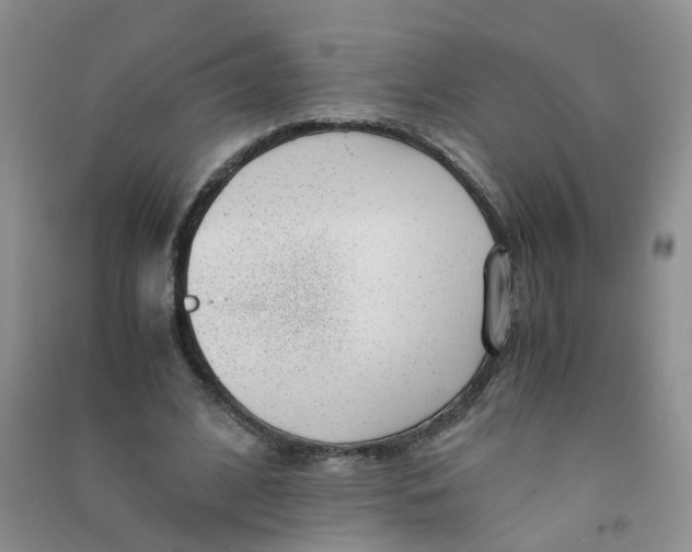 X0000090700584200708171848