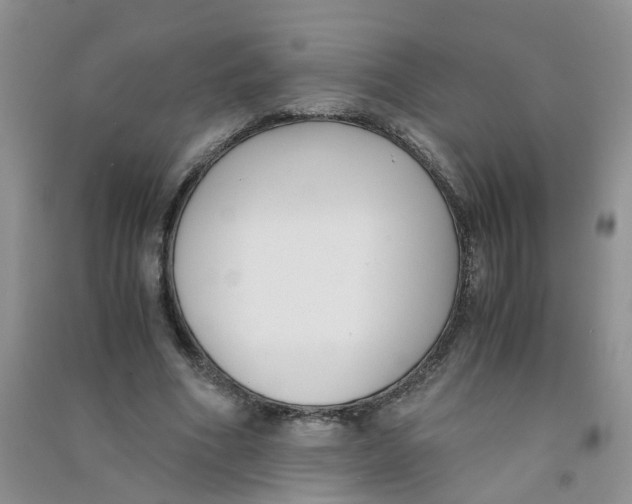 X0000090700586200708171848