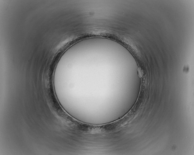 X0000090700587200708171848