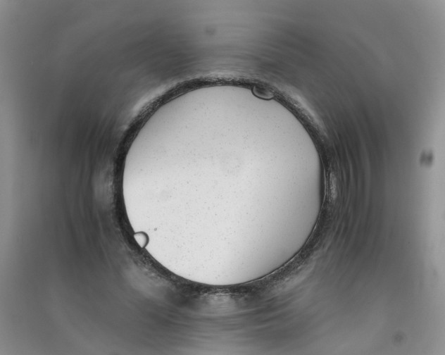 X0000090700588200708171848