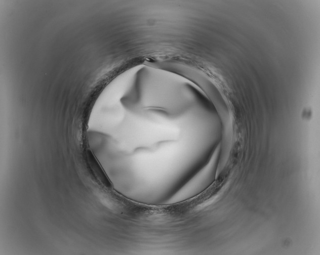 X0000090700589200708171848