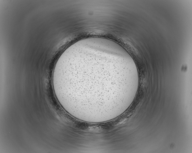 X0000090700591200708171848