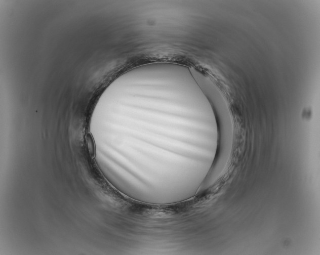 X0000090700597200708171848