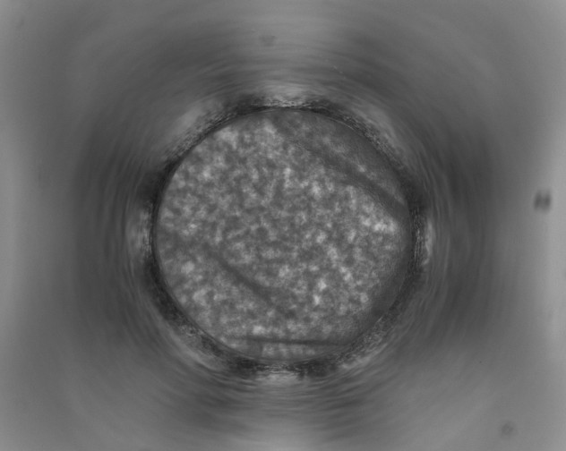 X0000090700598200708171848