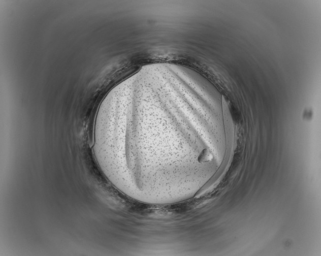 X0000090700601200708171848