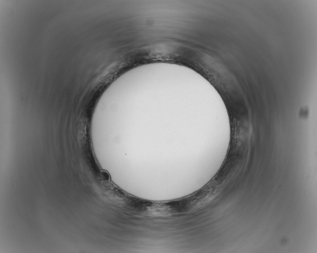 X0000090700603200708171848